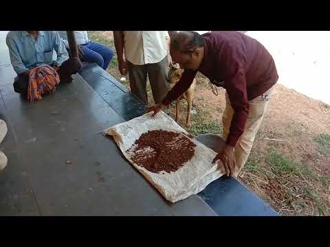 Organic Farming and Soil Testing - The BDSSS Way!