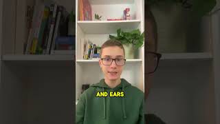 DON’T MEMORISE! Do this instead! #languagelearninghacks #languagelearning #polyglot