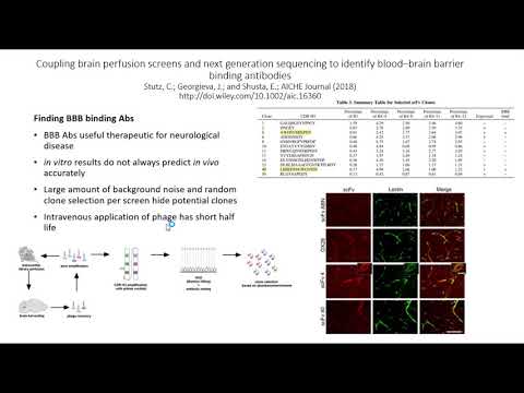 Coupling Brain Perfusion Screens and NGS to Identify BBB Binding Antibodies; C. Stutz-E. Shusta 2018
