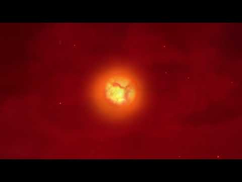 Tamino - Crocodile