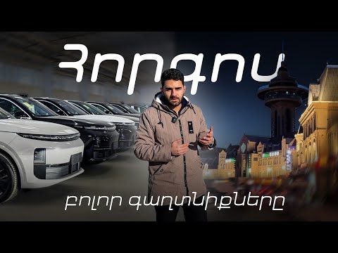Էլեկտրամոբիլ Չինաստանից 40 օրում / Ռիսկեր, Պատվերի Ընթացք և Առկա Մեքենաներ