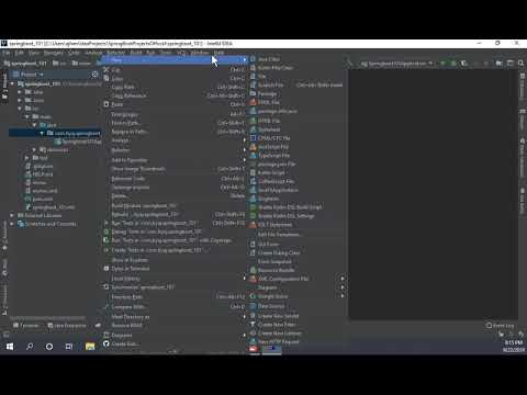 Introduction to Spring Boot Lesson 1.01