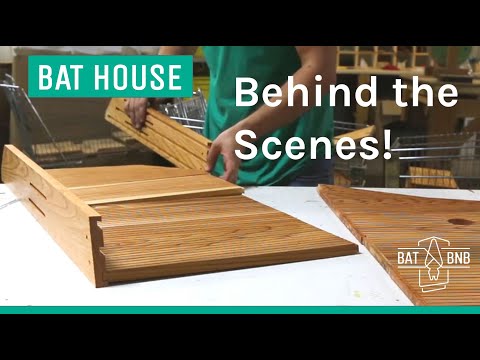 Bat House Building- Take a sneak peak to learn how BatBnBs are built!