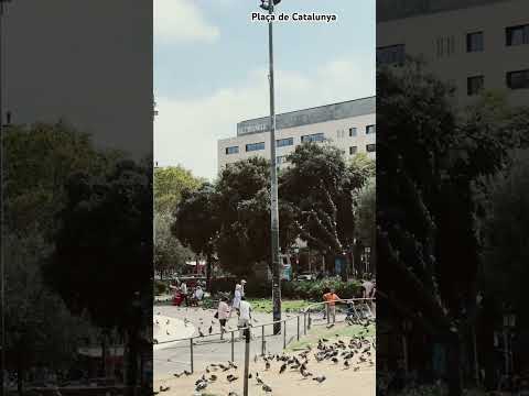Plaça de Catalunya, Spain #barcelona #shorts #youtubeshorts #catalunya #ytshorts #travel