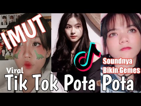Kumpulan Tik Tok Pota Pota | Tik Tok yang lagi Viral Di akhir Tahun
