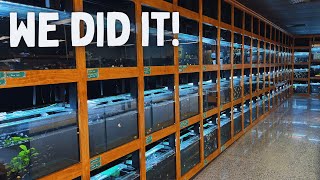 We Built the Aquarium Store of Our Dreams – FINAL Episode