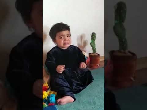 Alizay Reaction to Dancing Cactus #funny# cute#viralvideo#ytshorts#shortvideo#shorts#short#germany