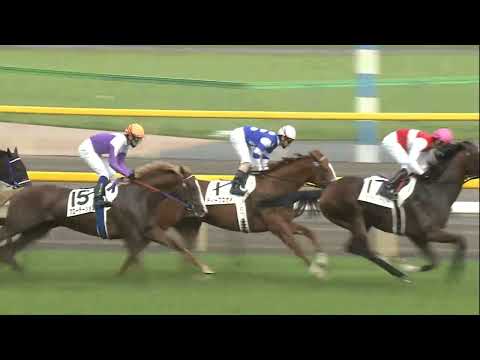 第75回日本ダービー ディープスカイ