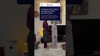 This cat clearly understood the assignment! 😎🐾