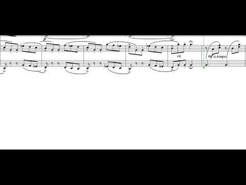 Petr Zapletal - Concertino for Amelia -1 - Allegro lietamente (for piano and strings)