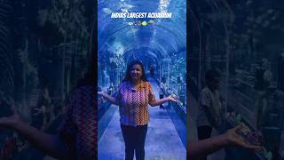 Must-visit place in Bangalore: India’s Largest Aquarium. Aqua world. JC Nagar. #aquarium #bangalore