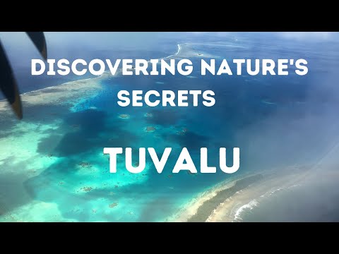 Discovering Nature's Secrets