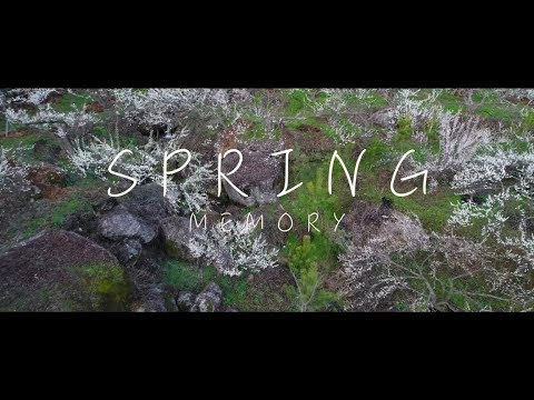 광양 벚꽃축제 드론촬영 “Spring Memory“ Inspire2 4K 드론촬영 광양 순천 드론촬영