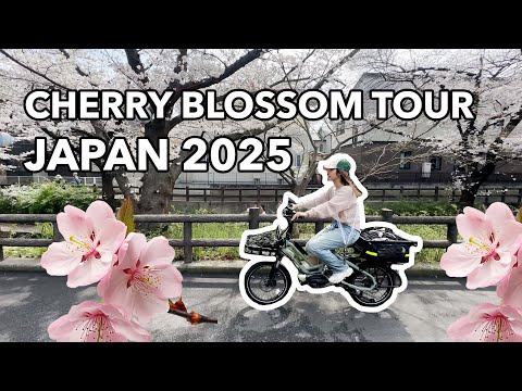 Cherry Blossom Japan - Bike Tour 2025 🌸