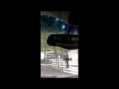 Gangstalking Caught on Camera Red/White/Black