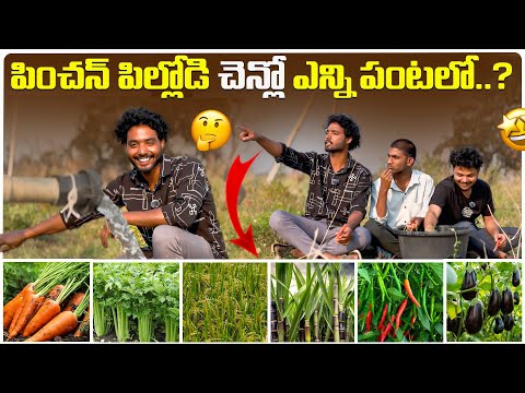 పించన్ పిల్లోడి చెన్లో ఎన్ని పంటలో..? | forming | Pinchan pillodu | Raithu bidda #foryou