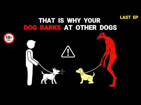If Your Dog Barks At Other Dogs… ONE OF THEM ISN’T REAL – Analog Horror