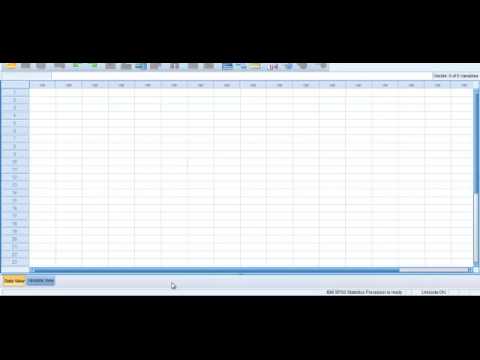 Typeform to SPSS: Data Clean Up
