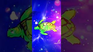 TURTLE ART!🐢🫧🪃🇦🇺🎨🖌#aussieartists #turtleart #art #turtle #digitalart #PAINTING #PAINT  #artist #🐢