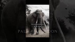 The Top 10 LARGEST land mammals... #mammals #extinct #prehistoric #oldearth