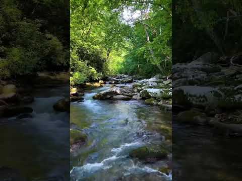 Little River Elkmont Campground