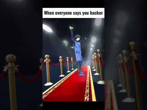 IT FEELS LIKE THIS WHEN EVERYONE SAYS YOU HACKER 🪽