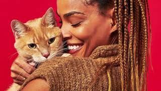 CPG Pet Food Branding Agency