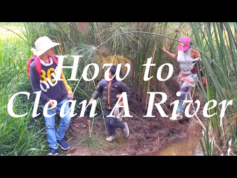 Children-Led Regenerative Education : Our Vision