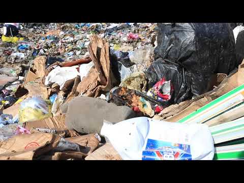 Recycling Project Dominica Update