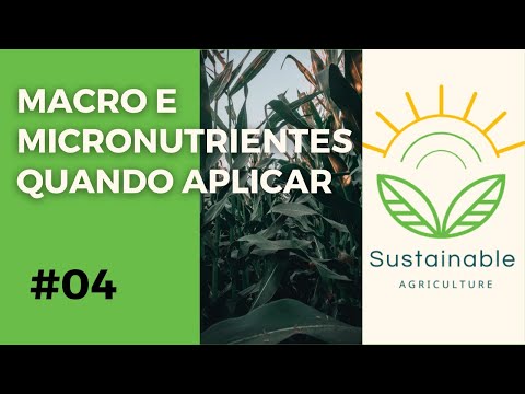 Macro e Micronutrintes momento certo de utiliza-los