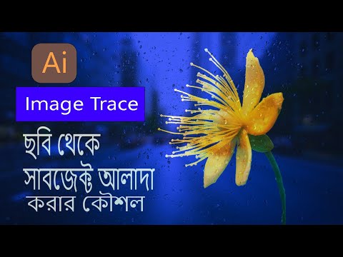 Image Trace In Adobe Illustrator Bangla Tutorials | image trace tutorial | image trace illustrator |