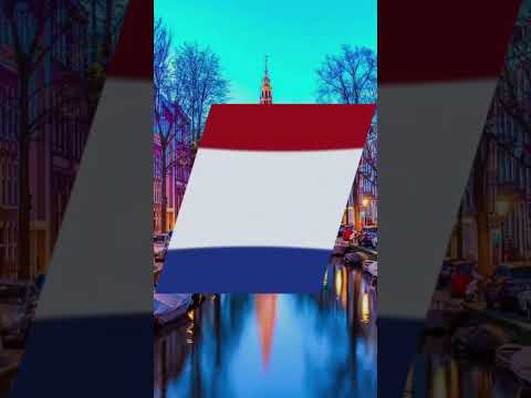 Netherland vs Belgium #netherlandwon #fyp #fypシ #capcut #edit
