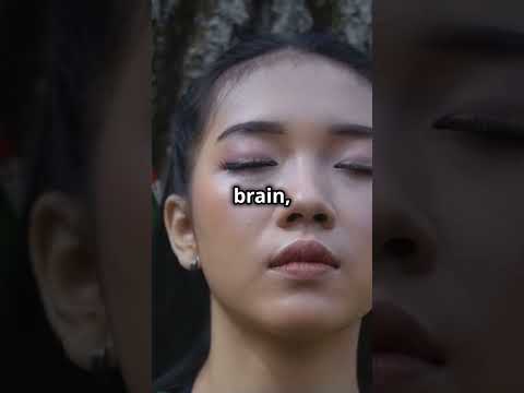 Top 3 Supplements for Boosting Memory! #adhd