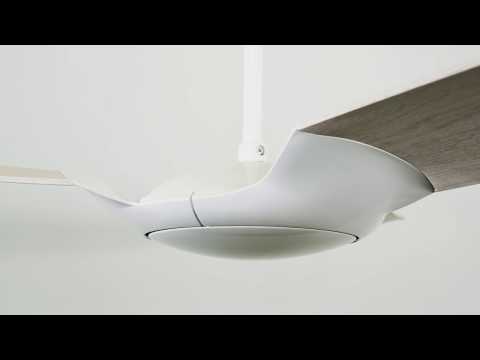 IC/Air3 Ceiling Fan | The Modern Fan Company