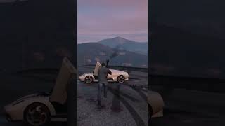 Showdown Under the Sunset – GTA 5 Police Fight"