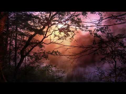 Baby Gin ( Official Audio )