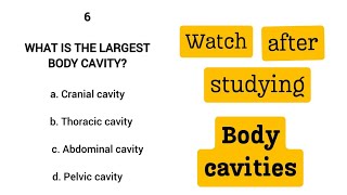Top 30 MCQS on BODY CAVITIES (Abdominal cavity, pelvic cavity, Thoracic cavity)