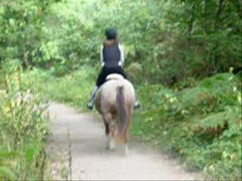 Nat (me) And her Loan Ponies ((Please Comment))