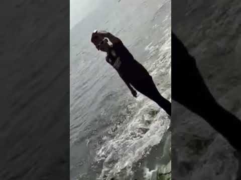 মন পিঞ্জরে বাইন্ধা সি তোর মন অনেক দুঃখ দিলি কেন রে  কুয়াকাটা সুন্দর্য ভিউ #story #music #foryou