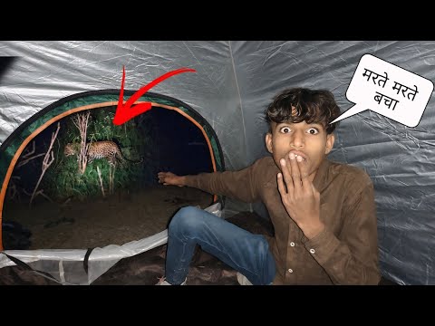 जंगल के एक लोते तालाब पर रात को आए जानवर पानी पीने Animals came to a pond in the forest at night....