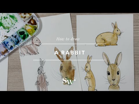 How to Draw a Rabbit (3 ways!) | Lesson 6