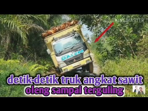 DETIK DETIK TRUK ANGKAT SAWIT TERGULING⁉️
