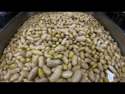 29 March 2021 | Bean soaking