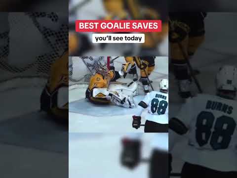 Best NHL goalie saves