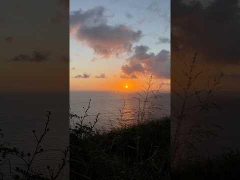 let’s go on a sunrise hike🧡 #dayinmylife #hawaiilife #sunrise #hike