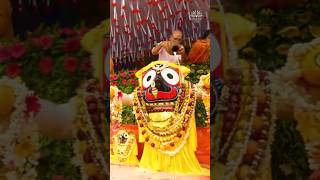 ✨ Snān Yātrā – A Festival of Divine Affection ✨ #iskcontemple #jaijagannath #iskconujjain #kirtan
