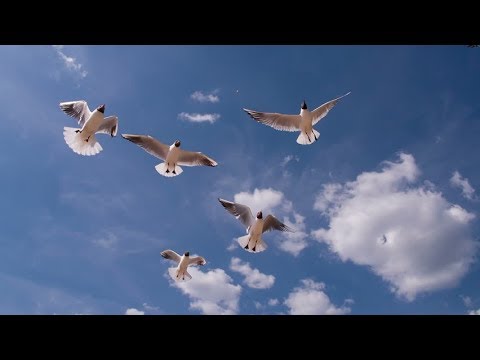 jkhgvfdrhtsdfytjkgcxfghrtfjyghvmnvbcxgfdhy