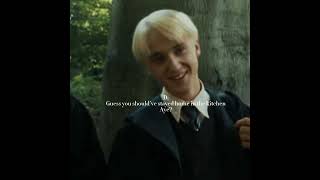 Enemies? Or lovers? || Draco Malfoy x Y/n? || Harry Potter POV