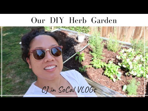 OUR DIY HERB GARDEN | STARTING OUR HERB GARDEN AT HOME | CJ IN SOCAL VLOGS