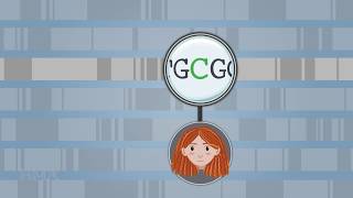 An Introduction to the Human Genome | HMX Genetics